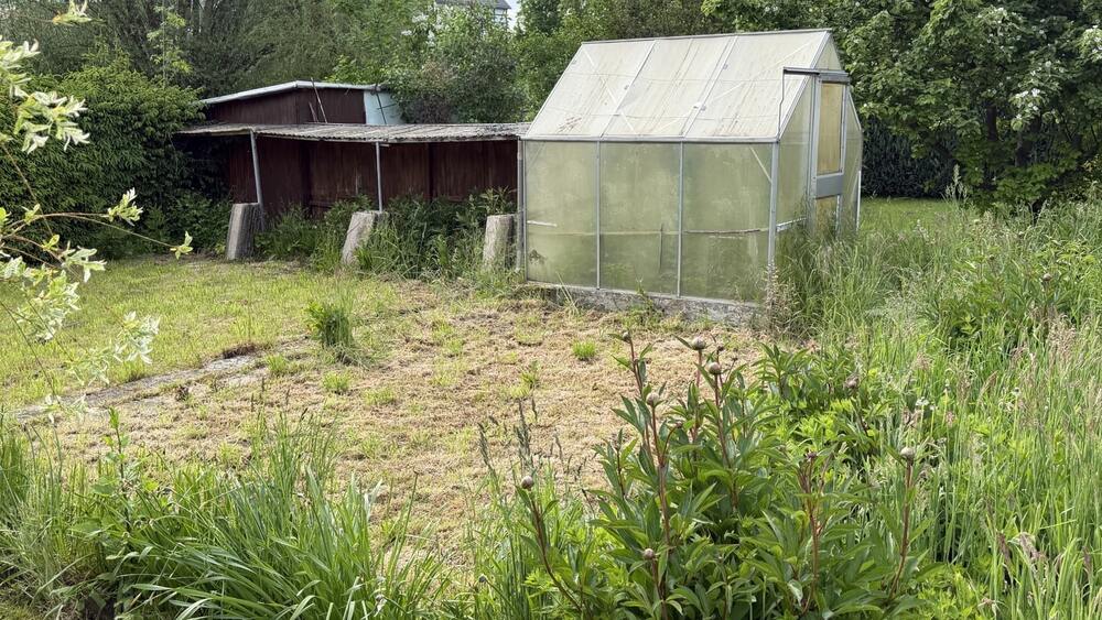 Garten mit Gewächshaus
