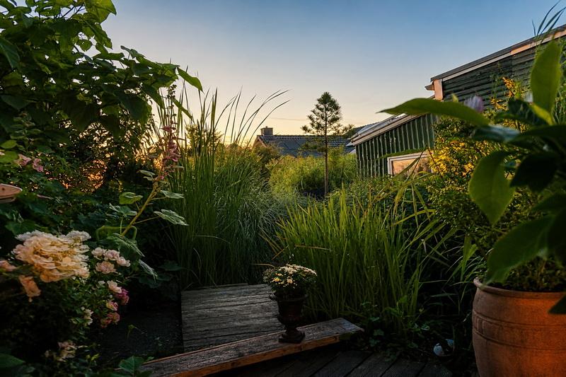Gartenidylle bei Sonnenuntergang
