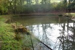 Teichanwesen mitten im Wald Südwestpfalz - Grundstück Biedershausen | Angebot:19798978