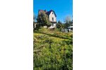 Bleicherode, EFH + Nebengeb. - Einfamilienhaus Bleicherode Bleicherode Ost | Angebot:26665098