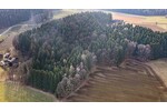Lebensraum Wald: Fichte, Buche und Lärche in Generationen gewachsen - Grundstück Waldmünchen / Untergrafenried Untergrafenried | Angebot:26531345