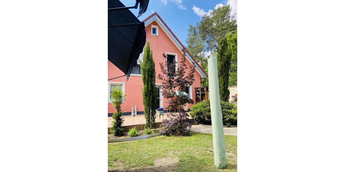 EFH - Blick in Richtung - Garten