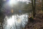 Teichanwesen mitten im Wald Südwestpfalz - Grundstück Biedershausen | Angebot:19798978