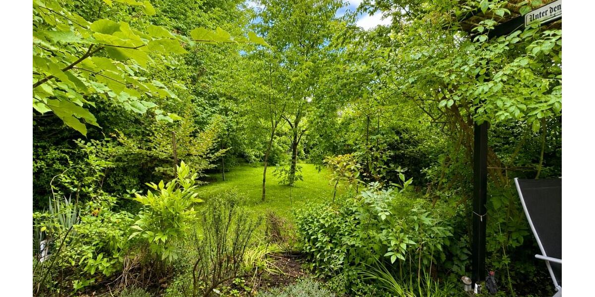 Blick in den Garten
