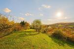 VERWIRKLICHEN SIE IHREN TRAUM VOM EIGENEN HAUS - Grundstück Merkers-Kieselbach Kieselbach | Angebot:26904536