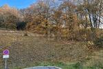 BAUAREAL IN NATURNAHER LAGE - Grundstück Bad Berneck im Fichtelgebirge | Angebot:27359846
