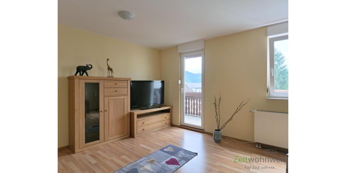 Blick zu Schrankwand, TV und Balkon