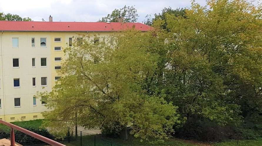 Blick vom Balkon 02