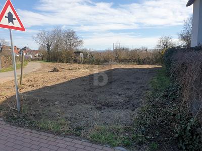 KAISERSTÜHLER IDYLLE TRIFFT FREIBURGER STADTNÄHE - Grundstück Ihringen | Angebot:27454936