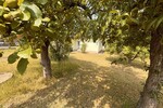 Zehdenick: Handwerkerobjekt mit 697 m² GST inkl. Garten, Garage & Schuppen – nur 1,3 km zum Bahnhof - Einfamilienhaus Zehdenick | Angebot:26134833