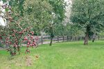 Provisionsfrei* Blockbohlenhaus mit Solaranlage & großem Grundstück - Wohnen im Naturparadies von Rühlow (Sponholz) - Einfamilienhaus Rühlow Rühlow | Angebot:26904468