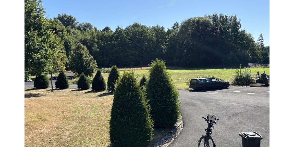 Garten mit Wald