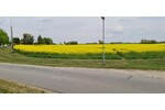 RIESIGES FREIZEITGRUNDSTÜCK - Grundstück Walkendorf-Repnitz | Angebot:19800429