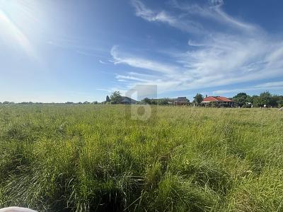 VIELE MÖGLICHKEITEN IN ENTSPANNTER ORTSLAGE - Grundstück Riepsdorf | Angebot:27082276