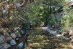 HISTORISCHER ALTBESTAND TRIFFT IDYLLISCHE NATUR - Grundstück Jengen | Angebot:27453154