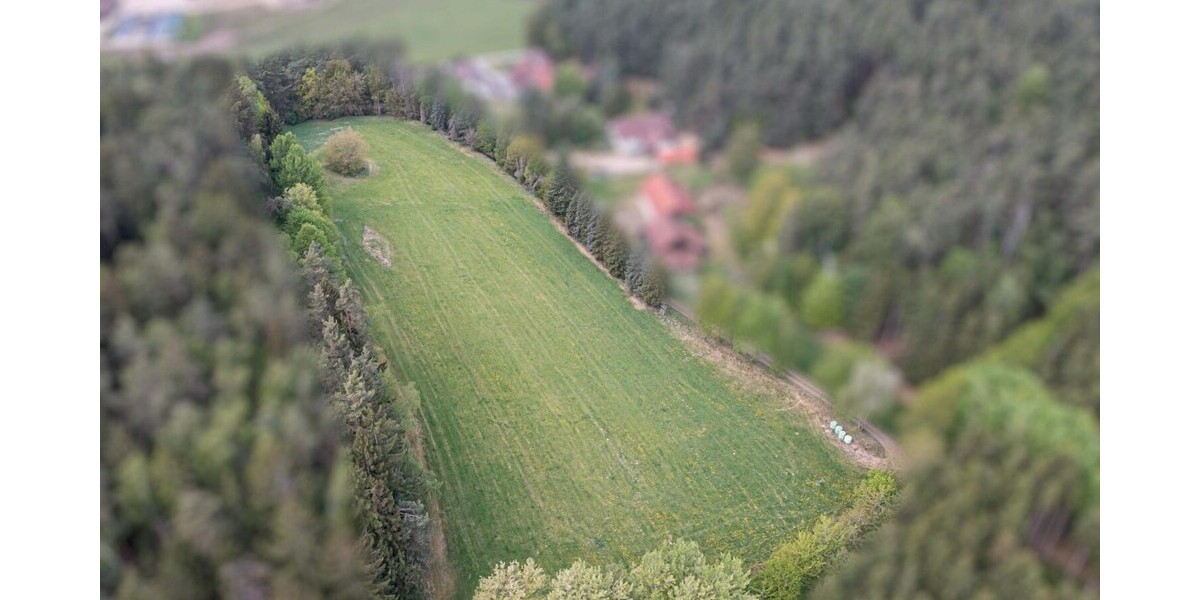 Wiese(1)