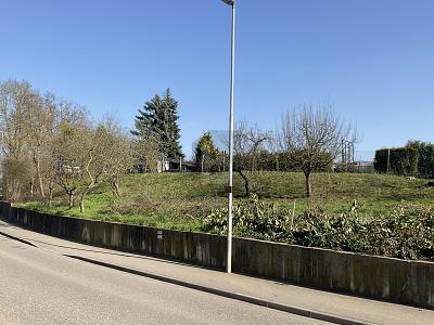 BAUPLATZ FÜR EIN MEHRFAMILIENHAUS - Grundstück Walzbachtal | Angebot:26863164