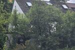 Kleiner versteckter Traum mit viel Grünfläche! Mehrfamilienhaus in 97074 Würzburg-Frauenland (ID 92) - Mehrfamilienhaus, Wohnhaus Würzburg Würzburg | Angebot:24110653