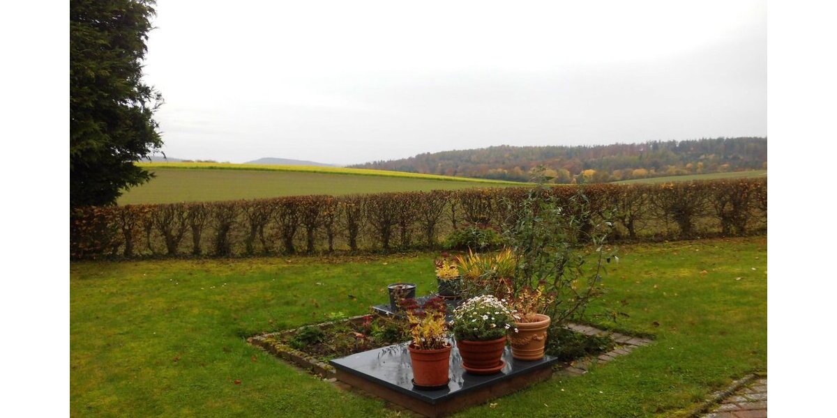 Blick in den Garten