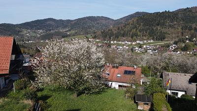 IDYLLE IN NATUR UND STADT - Grundstück Bühlertal | Angebot:26788027