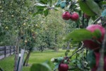 Provisionsfrei* Blockbohlenhaus mit Solaranlage & großem Grundstück - Wohnen im Naturparadies von Rühlow (Sponholz) - Einfamilienhaus Rühlow Rühlow | Angebot:27230413