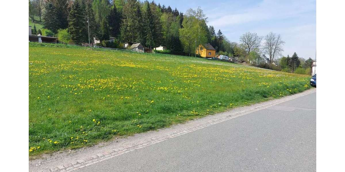 Wald und Wiese und Ausblick
