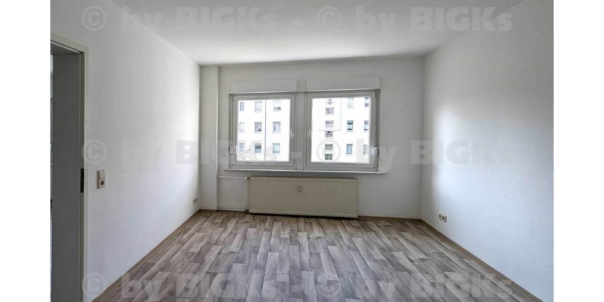 Zimmer3