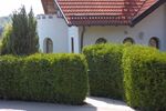 Provisionsfrei* 3 Generationen ZFH: 5 ZiWo + 4 ZiWo, 3 Ebenen, Grund 802 m² in 89173 Lonsee zu verkaufen. - Zweifamilienhaus Lonsee | Angebot:26781319