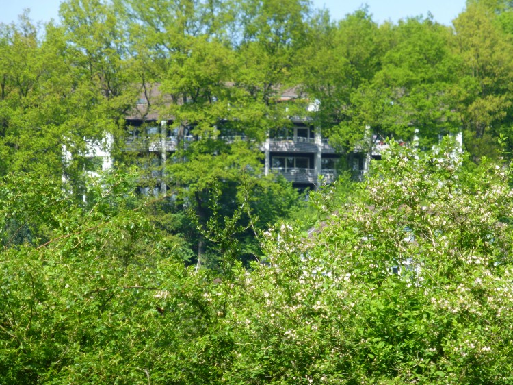 P1010439