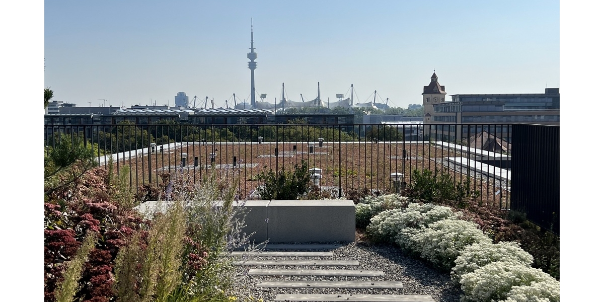 Terassen-Ausblick