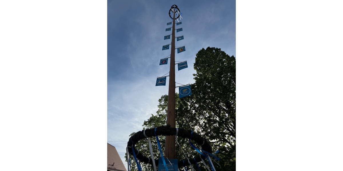 Maibaum in Ellgau