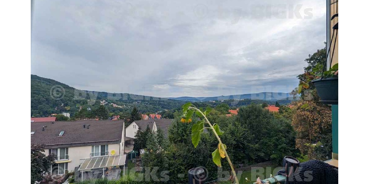 Aussicht1