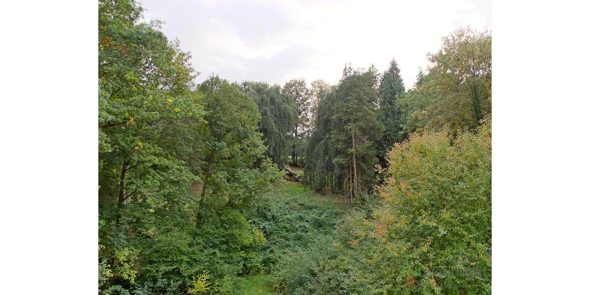 Blick aus dem Fenster in den Park