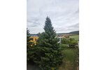 Sondershausen-OT, MFH + Gewerbe - Mehrfamilienhaus, Wohnhaus Sondershausen Berka | Angebot:22943579
