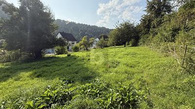 VIEL PLATZ FÜR IHRE BAUPLÄNE - Grundstück Staufenberg | Angebot:27067937