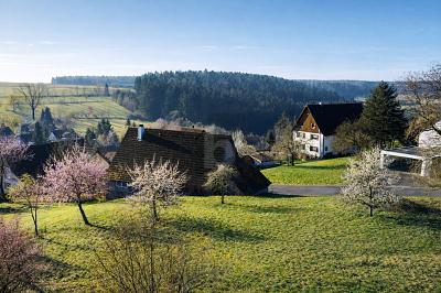IHR ZUHAUSE ZWISCHEN APFELBÄUMEN - Grundstück Alpirsbach | Angebot:27095250