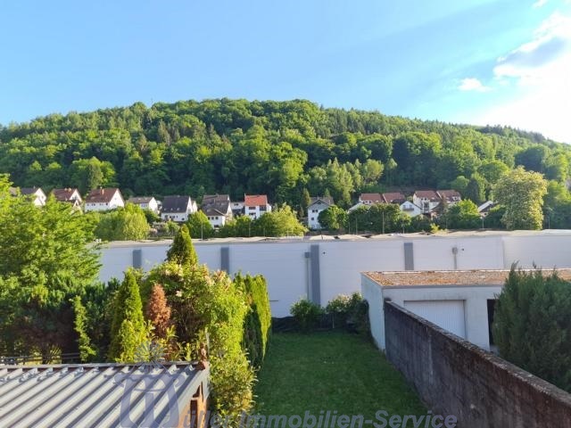 Fernblick