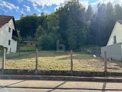 SUPER LAGE UND AUSRICHTUNG, ERSCHLOSSEN, B-PLAN - Grundstück Beckingen | Angebot:27313975