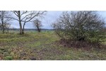 Ca 51400m2 Acker und Weideland nahe Rostock - Grundstück Thulendorf | Angebot:19800536