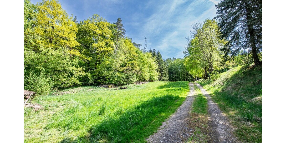 Aussenansicht(12)