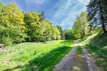 Charmantes Zweifamilienhaus mit großem Grundstück, Waldanteil und viel Potenzial - Zweifamilienhaus Zell | Angebot:26618521