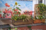 BIGKs - Halle-Paulusviertel: möblierte 3-Zimmer Wohnung (-;) - 3- Halle Paulusviertel | Angebot:21934386