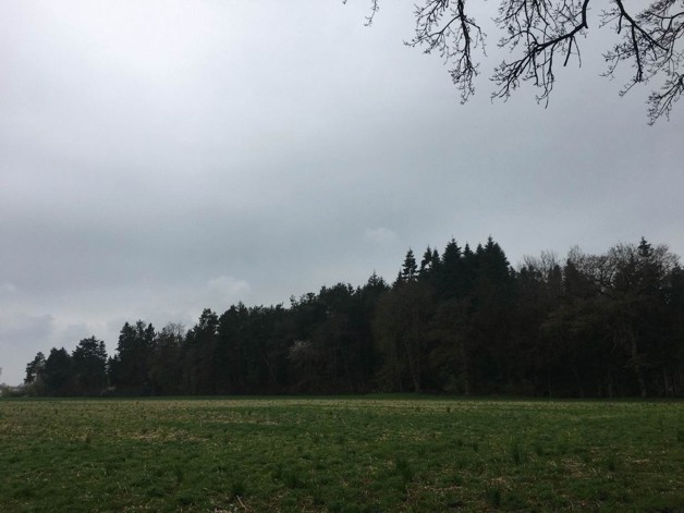 Waldgrundstück Ebersberg 18 ha - Grundstück Edling | Angebot:24604794