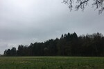 Waldgrundstück Ebersberg 18 ha - Grundstück Edling | Angebot:24604794