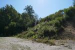 INVESTOREN: BAU EINES MEHRFAMILIENHAUS ODER 2 DHH - Grundstück Regenstauf | Angebot:27365659