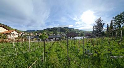 AUSSICHT & LEBENSQUALITÄT - Grundstück Bühlertal | Angebot:27455006
