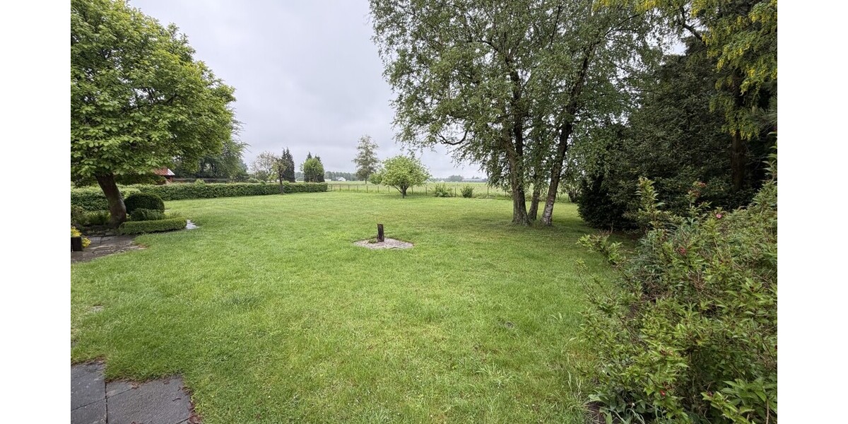Blick in den Garten