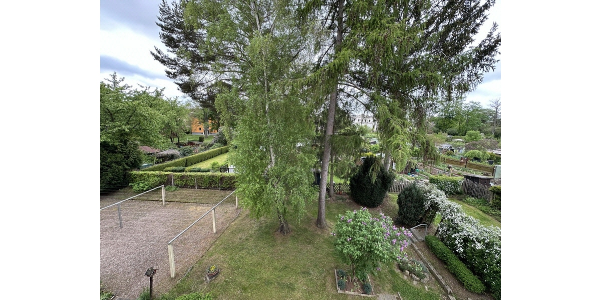 Blick aus dem Wohnzimmer
