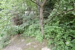 ***2.583 m² Grundstück mit 2 Doppelhaushälften Neubau von 4 - 10 WE möglich*** - Doppelhaushälfte Syke Syke-Mitte | Angebot:27626839