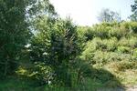 INVESTOREN: BAU EINES MEHRFAMILIENHAUS ODER 2 DHH - Grundstück Regenstauf | Angebot:27102090